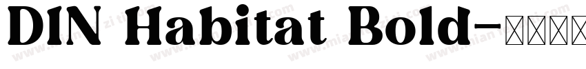 DIN Habitat Bold字体转换